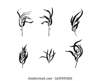 Juego de ramas negras dibujadas a mano. Ramas elegantes sobre fondo blanco. Ilustración vectorial. Plantas aisladas. Elementos de diseño para la tienda orgánica, productos ecológicos y ecológicos, floristería, logotipo.