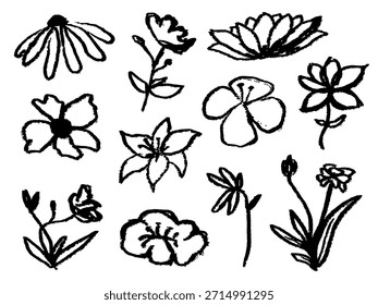Conjunto de garabatos de flores de tinta negra dibujados a mano y bocetos botánicos de pincel áspero sobre fondo blanco para diseño orgánico