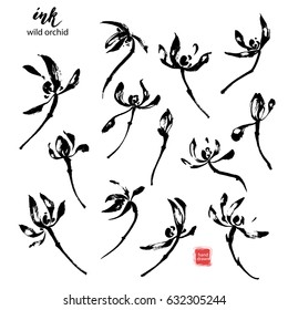 Set of hand drawn black ink wild orchid flowers. Traditional dry calligraphic brush painting.