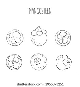Conjunto de tintas de línea negra dibujadas a mano mangostino fruta tropical. Comida orgánica fresca. Ilustración vectorial con esbozo