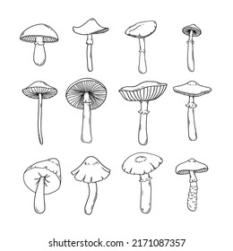 Set of hand drawn black mushrooms in line art. Simple vector illustration of silhouettes.