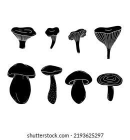 Set of hand drawn black mushrooms in line art. Porcini, chanterelle mushroom, boletus, champignon. Simple vector illustration of silhouettes.