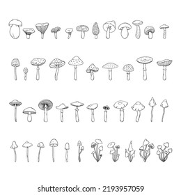 Set of hand drawn black mushrooms in line art. Simple vector illustration of silhouettes.