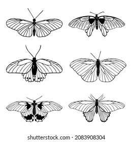 Set of hand drawn black outline butterflies on white background. Butterfly miimalistic sketch. Papilionidae, heliconius charithonia, hypolimnas bolina. Vector illustration