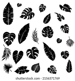 Handgezeichnete schwarze Silhouette tropische exotische Blätter verschiedener Art. Dschungelpflanzen. Hibiskusblätter, Monstera und Palmblätter. Botanische Vektorgrafik einzeln auf weißem Hintergrund