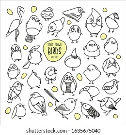 Set of hand drawn black and white birds. Vector illustration. 