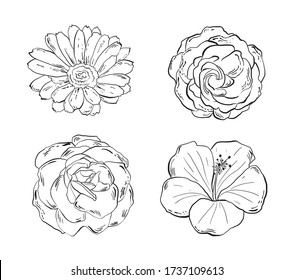 Set of hand drawn black and white flowers, vector illustrations