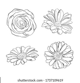 Set of hand drawn black and white flowers, vector illustrations