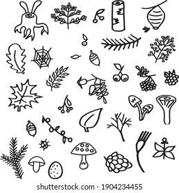 Un conjunto de elementos de los vectores forestales de doodles en blanco y negro dibujados a mano 