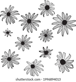 Set of hand drawn black and white flowers, ink drawing