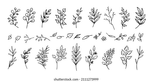 Set of hand drawn black and white leaves and twigs, fantasy branches. Eco natural design for frames, bouquets. Collection of isolated romantic flourish dividers or vignettes for prints