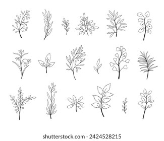 Set of hand drawn black and white leaves and twigs. Set of hand drawn black and white leaves and twigs