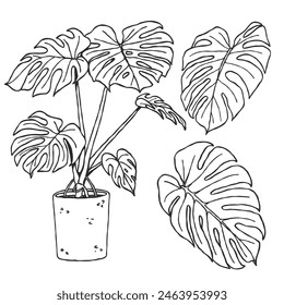un conjunto dibujado a mano de plantas tropicales blancas y negras ilustración de arte de línea 