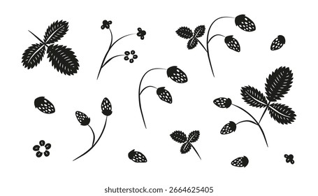 Set of hand drawn black wild strawberries, leaves and flowers isolated on white background. Cute garden or forest strawberries.