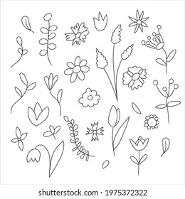 Set of hand drawn blooming flowers outline,  isolated vector illustration on white background