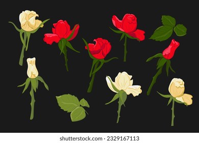 Conjunto de rosas blancas y rojas dibujadas a mano sobre fondo negro. Rosas aisladas vectoriales con hojas. Tema oscuro. Perfecto para pegatinas, tatuajes, patrones, fondo, papel envolvente