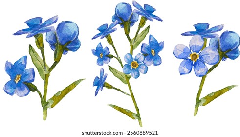 Satz von handgezeichneten Blauen Vergissmeinnicht-Blumen in Aquarell einzeln auf weißem Hintergrund, Vektorwasserfarbe.EPS 10. Vergiss mich nicht Blumenclipart, einzelne Vektorgrafik. Skorpiongräser