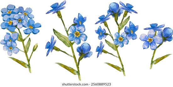 Satz von handgezeichneten Blauen Vergissmeinnicht-Blumen in Aquarell einzeln auf weißem Hintergrund, Vektorwasserfarbe.EPS 10. Vergiss mich nicht Blumenclipart, einzelne Vektorgrafik. Skorpiongräser