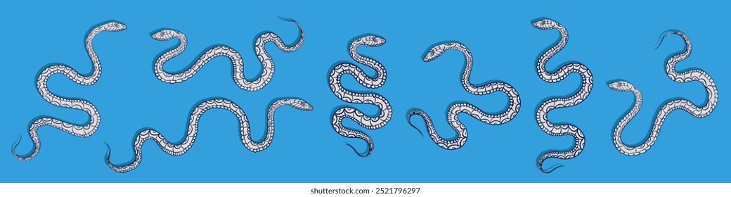 Conjunto de serpientes en espiral lineales azules y plateadas dibujadas a mano varias Formas aisladas sobre fondo cian.  Arte de contorno de reptiles como elemento decorativo para el diseño de la camiseta, tatuaje, cartel, etiqueta engomada, logotipo