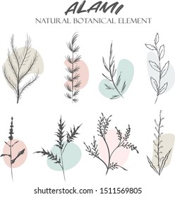 Set of hand drawn botanical element, natural, leaf icon and line art. Alami mean natural in indonesian language.
botanical, branch, creative, decor, design,drawing, drawn, element, floral, flower