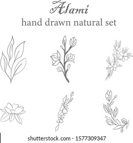 Set of hand drawn botanical element, natural, leaf icon and line art. Alami mean natural in indonesian language. valentine object ornament invitation card name