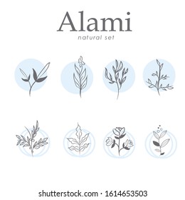 Set of hand drawn botanical element, natural, leaf icon and line art. Alami mean natural in indonesian language Hand sketched vector vintage elements laurels, leaves, flower