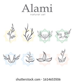 Set of hand drawn botanical element, natural, leaf icon and line art. Alami mean natural in indonesian language Hand sketched vector vintage elements laurels, leaves, flower