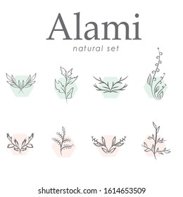Set of hand drawn botanical element, natural, leaf icon and line art. Alami mean natural in indonesian language Hand sketched vector vintage elements laurels, leaves, flower