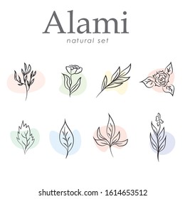 Set of hand drawn botanical element, natural, leaf icon and line art. Alami mean natural in indonesian language Hand sketched vector vintage elements laurels, leaves, flower