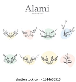 Set of hand drawn botanical element, natural, leaf icon and line art. Alami mean natural in indonesian language Hand sketched vector vintage elements laurels, leaves, flower