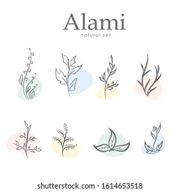 Set of hand drawn botanical element, natural, leaf icon and line art. Alami mean natural in indonesian language Hand sketched vector vintage elements laurels, leaves, flower