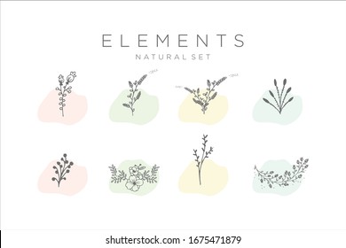 Set of hand drawn botanical elements vector