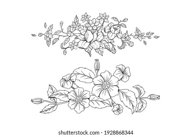 Free Vector  Decorative floral sketch