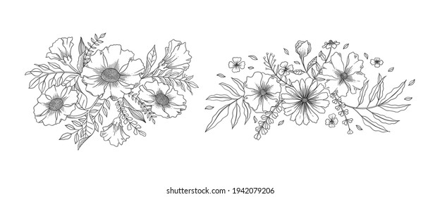 Set of hand drawn botanical elements ornamental vector