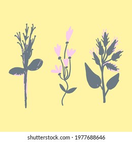 Set of hand drawn botanical elements, decorative flowers and leaves, isolated vector illustration