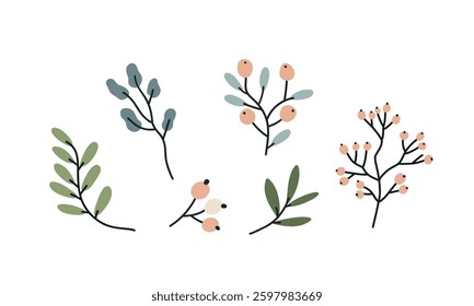 Set of hand drawn botanical elements on a white background. Vector illustration for design, flat style.