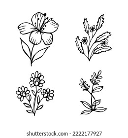 conjunto de elementos de doodle de flores botánicas dibujados a mano para el concepto de diseño floral