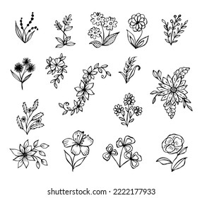 set of hand drawn botanical flower doodle elements for floral design concept