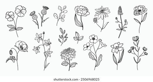 Set of hand drawn botanical flower line art vector. Collection black white contour drawing of foliage, wildflower, poppy, peony, eucalyptus. Illustration design for logo, wedding, invitation, decor.