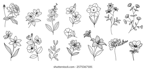 Set of hand drawn botanical flower line art vector. Collection black white contour drawing of foliage, wildflower, poppy, peony, eucalyptus. Illustration design for logo, wedding, invitation, decor.