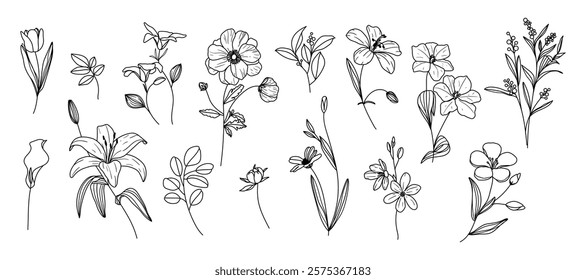 Set of hand drawn botanical flower line art vector. Collection black white contour drawing of foliage, wildflower, poppy, peony, eucalyptus. Illustration design for logo, wedding, invitation, decor.