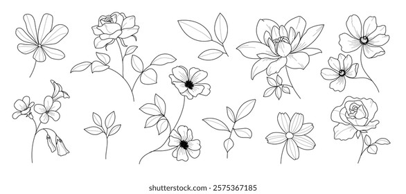 Set of hand drawn botanical flower line art vector. Collection black white contour drawing of foliage, wildflower, poppy, peony, eucalyptus. Illustration design for logo, wedding, invitation, decor.