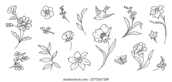 Set of hand drawn botanical flower line art vector. Collection black white contour drawing of foliage, wildflower, poppy, eucalyptus, bird. Illustration design for logo, wedding, invitation, decor.