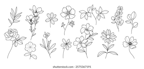 Set of hand drawn botanical flower line art vector. Collection black white contour drawing of foliage, wildflower, poppy, peony, eucalyptus. Illustration design for logo, wedding, invitation, decor.