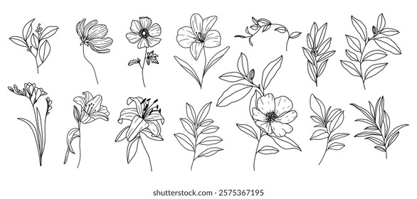 Set of hand drawn botanical flower line art vector. Collection black white contour drawing of foliage, wildflower, poppy, peony, eucalyptus. Illustration design for logo, wedding, invitation, decor.