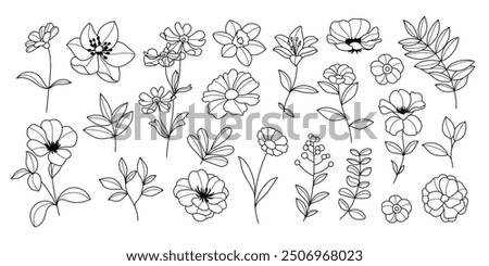 Set of hand drawn botanical flower line art vector. Collection black white contour drawing of foliage, wildflower, poppy, daisy, eucalyptus. Illustration design for logo, wedding, invitation, decor.