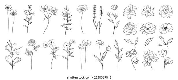 Set of hand drawn botanical flowers line art vector. Collection of black white contour drawing of rose, lily, wildflowers, leaf. Design illustration for print, logo, cosmetic, poster, card, branding.