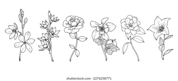 Set of hand drawn botanical flowers line art vector. Collection of black white contour drawing of rose, wildflowers, leaf. Design illustration for print, logo, cosmetic, poster, card, branding.