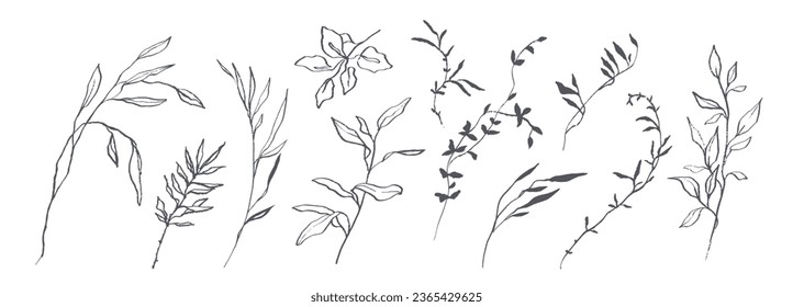 Conjunto de flores botánicas dibujadas a mano, ramas y hojas. Esbozos de diseño de plantas silvestres y de jardín en línea de arte. Ilustración del vector sobre fondo blanco