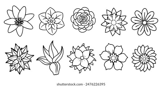 Conjunto de flores botánicas dibujadas a mano línea de arte Vector. Colección de follaje, ramas de hojas, flores, rosas y arte lineal.